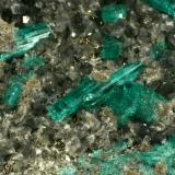 Beryl (variety emerald), Calcite, Pyrite, Albite<br />Muzo mining district, Western Emerald Belt, Boyacá Department, Colombia<br />Detail - FOV=5cm<br /> (Author: Fiebre Verde)