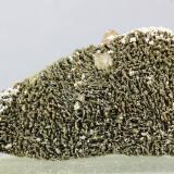 Johannsenita<br />Mina Iron Cap, Landsman Camp, Aravaipa, Distrito Aravaipa, Montes Santa Teresa, Condado Graham, Arizona, USA<br />50x30 mm<br /> (Autor: Juan Espino)