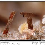 Enstatite, sanidineDe la Aljorra Quarries, Cerro de la Cabezuela (de la Aljorra Volcano), La Aljorra, Cartagena, Comarca Campo de Cartagena, Region of Murcia (Murcia), Spainfoov 1.5 mm (Author: ploum)