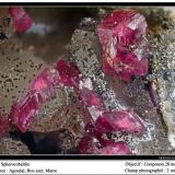 Spherocobaltite<br />Agoudal Centre Quarry, Tansifite, Agdz, Bou Azzer mining district, Zagora Province, Drâa-Tafilalet Region, Morocco<br />fov 2 mm<br /> (Author: ploum)