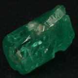 Beryl (variety emerald), Quartz<br />Muzo mining district, Western Emerald Belt, Boyacá Department, Colombia<br />xl=19mm<br /> (Author: Fiebre Verde)