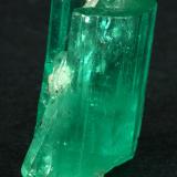 Beryl (variety emerald), Quartz<br />Muzo mining district, Western Emerald Belt, Boyacá Department, Colombia<br />xl=19mm<br /> (Author: Fiebre Verde)