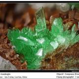 AnnabergiteMina Km-3, Lavrion, Distrito minero Lavrion, Prefectura Attikí (Attica), Greciafov 2 mm (Author: ploum)