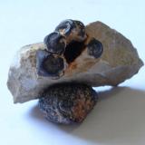 Goethita pseudomórfica de PiritaSant Julià de Ramis, Comarca Gironès, Gerona / Girona, Catalonia / Catalunya, SpainMedidas pieza: 3,7x2,6x1,4 cm (Autor: Sergio Pequeño)