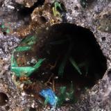BrochantitaOberhütte, Volkstedt, Eisleben, Mansfeld Basin, Saxony-Anhalt/Sachsen-Anhalt, GermanyEncuadre de 2,84mm (Autor: Oscar Fernandez)