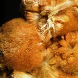 PrehnitaCantera Oficarsa, Cerro de las Culebras, Carchelejo, Cárcheles, Comarca Sierra Mágina, Jaén, Andalucía, España4,5 x 4,5 x 3 cm. (Autor: Felipe Abolafia)