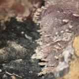 Calcita (variedad cobaltífera)Mina Solita, Peramea, Baix Pallars, Comarca Pallars Sobirà, Lérida / Lleida, Cataluña / Catalunya, España2''7 x 2 cm encuadre de la foto. (Autor: phrancko)