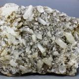 CelestinaPedrera Tossal Gros, La Pedrera, Ivorra, Comarca La Segarra, Lérida / Lleida, Cataluña / Catalunya, España78x57 mm. (Autor: Juan Espino)