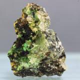 Eulytina<br />Cantera Hechtsberg, Hausach, Selva Negra, Baden-Württemberg, Alemania<br />38x14 mm<br /> (Autor: Juan Espino)