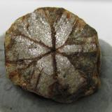 Cordierita (variedad Cerasita de Kikuchi)<br />Mina Yanahara, Misaki-cho, Prefectura Okayama, Región Chugoku, Isla Honshu, Japón<br />8 x 8 mm.<br /> (Autor: prcantos)