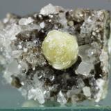 Girolita<br />Lonavale (Lonavala), Distrito Pune (Distrito Poonah), Maharashtra, India<br />26x24 mm<br /> (Autor: Juan Espino)