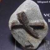 Estaurolita<br />Pestsovye Keivy, Montes Keivy, Península Kola, Murmanskaja Oblast, Región Norte, Rusia<br />40x35<br /> (Autor: Ignacio)