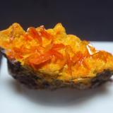WulfenitaMina Rowley, Theba, Distrito Painted Rock, Montes Painted Rock, Condado Maricopa, Arizona, USA30x10 mm (Autor: Ignacio)