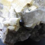 AlmandinoPegmatites outcrop, Valdemanco, Comarca Sierra de Guadarrama, Community of Madrid, Spain3''5 cm. ancho de campo (Autor: prcantos)