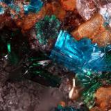 Sampleite and Atacamite<br />Santa Catalina Mine, Caracoles, Sierra Gorda District, Tocopilla Province, Antofagasta Region, Chile<br />FOV of 2,27 mm<br /> (Author: ofarcis)