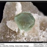 Boracite<br />Gröna Mine, Bernburg, Stassfurt, Saxony/Sachsen, Germany<br />fov<br /> (Author: ploum)