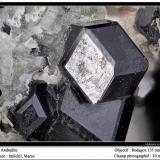 Andradite<br />Imilchil area, Anti-Atlas, Er Rachidia Province, Drâa-Tafilalet Region, Morocco<br />fov 10 mm<br /> (Author: ploum)