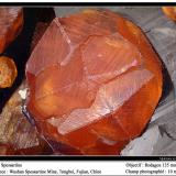 Spessartine<br />Wushan Spessartine prospects, Tongbei, Yunxiao, Zhangzhou Prefecture, Fujian Province, China<br />fov 11 mm<br /> (Author: ploum)