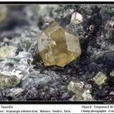 Andradite (var. topazolite)Valmalenco, Provincia Sondrio, Lombardía, Italiafov 6 mm (Author: ploum)