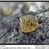 Andradite (var. topazolite)Valmalenco, Provincia Sondrio, Lombardía, Italiafov 6 mm (Author: ploum)