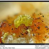 Mimetite<br />Mas Dieu, Mercoirol, Alès, Gard, Occitanie, France<br />fov 3 mm<br /> (Author: ploum)