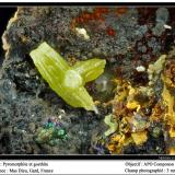 Pyromorphite and goethite<br />Mas Dieu, Mercoirol, Alès, Gard, Occitanie, France<br />fov 3 mm<br /> (Author: ploum)