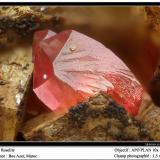 Roselite<br />Bou Azzer mining district, Drâa-Tafilalet Region, Morocco<br />fov 1.5 mm<br /> (Author: ploum)