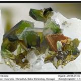 Olivenite<br />Clara Mine, Rankach Valley, Oberwolfach, Wolfach, Black Forest, Baden-Württemberg, Germany<br />fov 1.5 mm<br /> (Author: ploum)