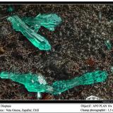 Dioptase<br />Veta Gruesa Mine, Garín Nuevo District, Copiapó Province, Atacama Region, Chile<br />fov 1.5 mm<br /> (Author: ploum)