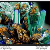 Azurite and malachite<br />Mapimí, Municipio Mapimí, Durango, Mexico<br />fov 3.5 mm<br /> (Author: ploum)