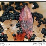 Roselite<br />Aghbar Mine (Arhbar Mine), Bou Azzer mining district, Zagora Province, Drâa-Tafilalet Region, Morocco<br />fov 3.5 mm<br /> (Author: ploum)