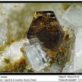 Anatase<br />La Lauzière Massif, Saint-Jean-de-Maurienne, Savoie, Auvergne-Rhône-Alpes, France<br />fov 3.5 mm<br /> (Author: ploum)