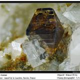 Anatase<br />La Lauzière Massif, Saint-Jean-de-Maurienne, Savoie, Auvergne-Rhône-Alpes, France<br />fov 3.5 mm<br /> (Author: ploum)