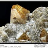 Anatase<br />La Lauzière Massif, Saint-Jean-de-Maurienne, Savoie, Auvergne-Rhône-Alpes, France<br />fov 3.5 mm<br /> (Author: ploum)