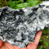 Calcite with Jamesonite inclusions and Stibnite<br />Herja Mine, Chiuzbaia, Baia Sprie, Maramures, Romania<br />~ 11.5 cm L<br /> (Author: Deyu)