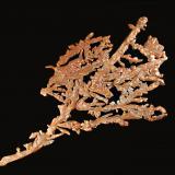 Copper<br />Mohawk Mine, Mohawk, Keweenaw County, Michigan, USA<br />0.5 x 9.4 x 15.8 cm<br /> (Author: crosstimber)