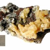 Pyromorphite<br />Neue Hoffnung Mine, Niederdreisbach, Daaden-Herdorf, Altenkirchen District, North Rhine-Westphalia/Nordrhein-Westfalen, Germany<br />70 x 39 x 37 mm<br /> (Author: Andreas Gerstenberg)