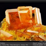 Wulfenite<br />Rowley Mine, Theba, Painted Rock District, Painted Rock Mountains, Maricopa County, Arizona, USA<br />fov 10 mm<br /> (Author: ploum)