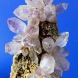 Quartz var amethyst<br />Llocalla (Aki Salla), Bombori, Chayanta Province, Potosí Department, Bolivia<br />6.3 x 3.4 cm<br /> (Author: Don Lum)