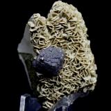 Fluorite, Siderite, Pyrite, Quartz<br />Minas da Panasqueira, level 0, Aldeia de São Francisco de Assis, Covilhã, Castelo Branco, Cova da Beira, Centro, Portugal<br />6.3 x 4.2 cm<br /> (Author: Don Lum)