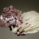 Lepidolite<br />Otjua Mine, Otjua Farm 37, Karibib District, Erongo Region, Namibia<br />5.0 x 8.5 cm<br /> (Author: crosstimber)