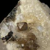 Scheelita, Cuarzo y FerberitaMina Yaogangxian, Yizhang, Prefectura Chenzhou, Provincia Hunan, China4,5 x 5,5 x 2 cm. (Autor: Felipe Abolafia)