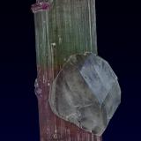 Elbaite, Quartz<br />Himalaya Mine, Gem Hill, Mesa Grande District, San Diego County, California, USA<br />10.5 x 4.2 cm<br /> (Author: am mizunaka)