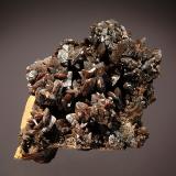 Descloizite<br />Berg Aukas, Grootfontein District, Otjozondjupa Region, Namibia<br />6.6 x 7.6 cm<br /> (Author: Michael Shaw)