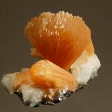 Stilbite<br />Two Islands, Bay of Fundy, Parrsboro, Cumberland County, Nova Scotia, Canada<br />2.1 x 2.5 cm<br /> (Author: crosstimber)