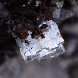 BaritaSanta Matilde cut, Berja mining group, Las Herrerías, Almagrera Range, Cuevas del Almanzora, Comarca Levante Almeriense, Almería, Andalusia, SpainCampo de visión 5 mm. (Autor: Juan Miguel)