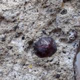 Almandino (grupo granate)Rambla de las Granatillas, El Hoyazo, Níjar, Comarca Metropolitana de Almería, Almería, Andalusia, Spain6 x 3 cm (cristal de 5 mm) (Autor: Cristalino)
