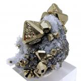 Pyrite, quartzMina Huanzala, Distrito Huallanca, Provincia Dos de Mayo, Departamento Huánuco, Perú61 mm x 41 mm (Author: Carles Millan)