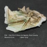 Calcita<br />Barranco de El Risco, Agaete, Gran Canaria, Provincia de Las Palmas, Canarias, España<br />4 cm<br /> (Autor: Jose Bello)