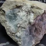 Celestina<br />Costa de l'Aguda, Torà , Comarca Solsonès, Lérida / Lleida, Cataluña / Catalunya, España<br />70x50 mm<br /> (Autor: Ignacio)